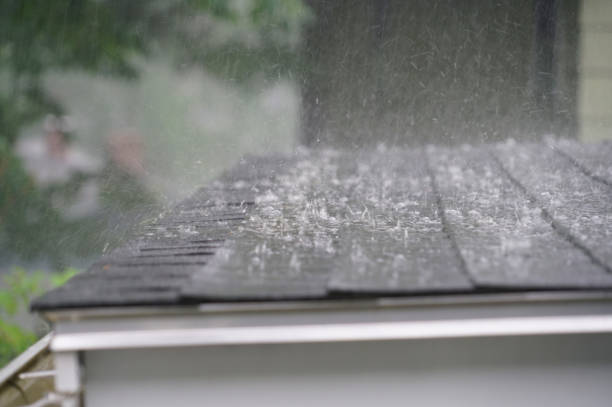 Best Roof Maintenance and Cleaning  in Greenfield, CA